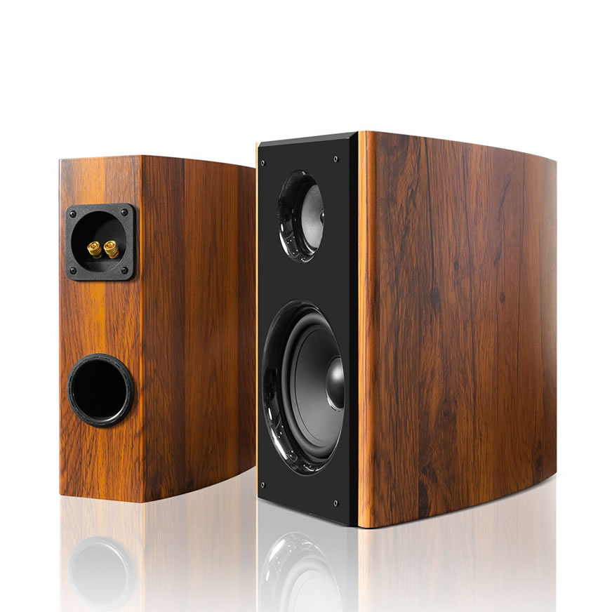 Altavoz Profesional de Karaoke Doméstico 300W Alta Potencia | iHomeLife-HLQ Audio HiFi para KTV Casa, Cine en Casa y Pequeñas Actuaciones
